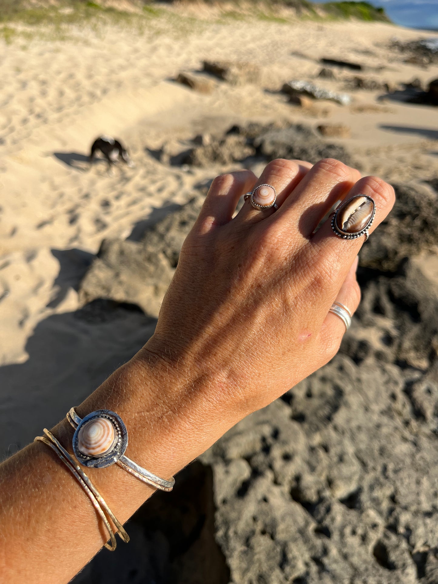 Hawaiian Cowrie Shell Ring RTS