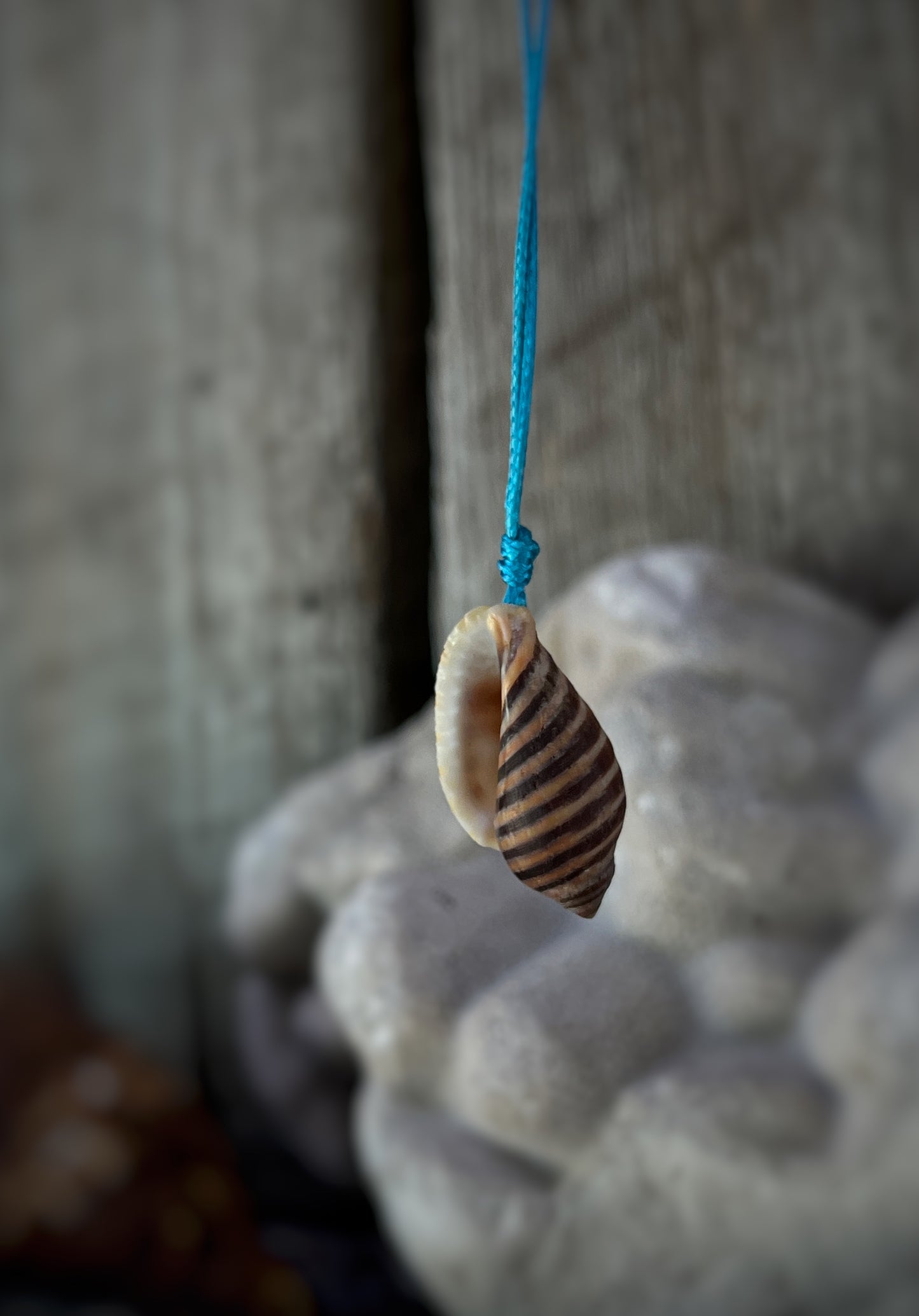 Retro Hawaiian Seashell Necklace