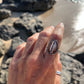 Hawaiian Cowrie Shell Ring RTS