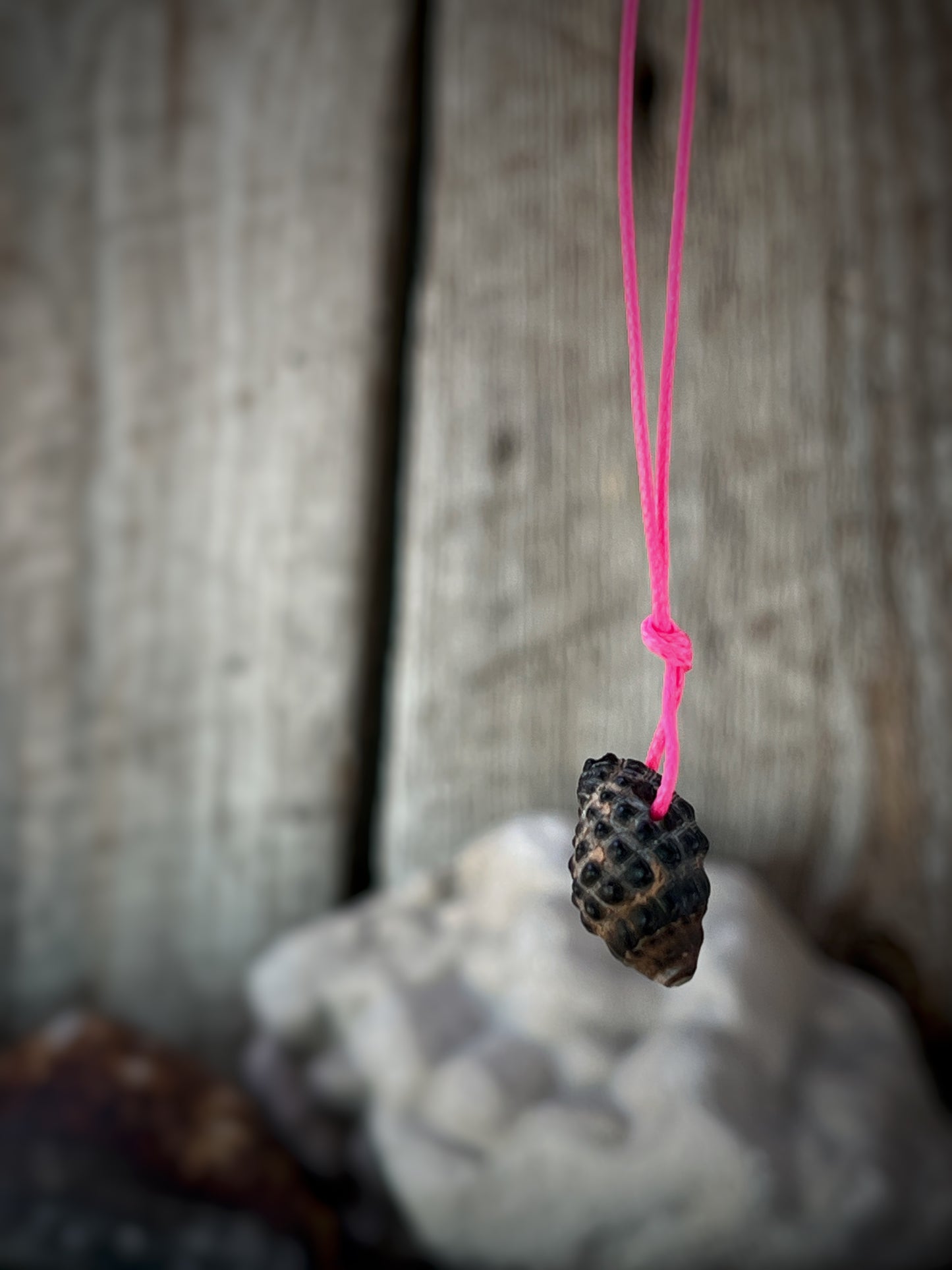 Retro Hawaiian Seashell Necklace