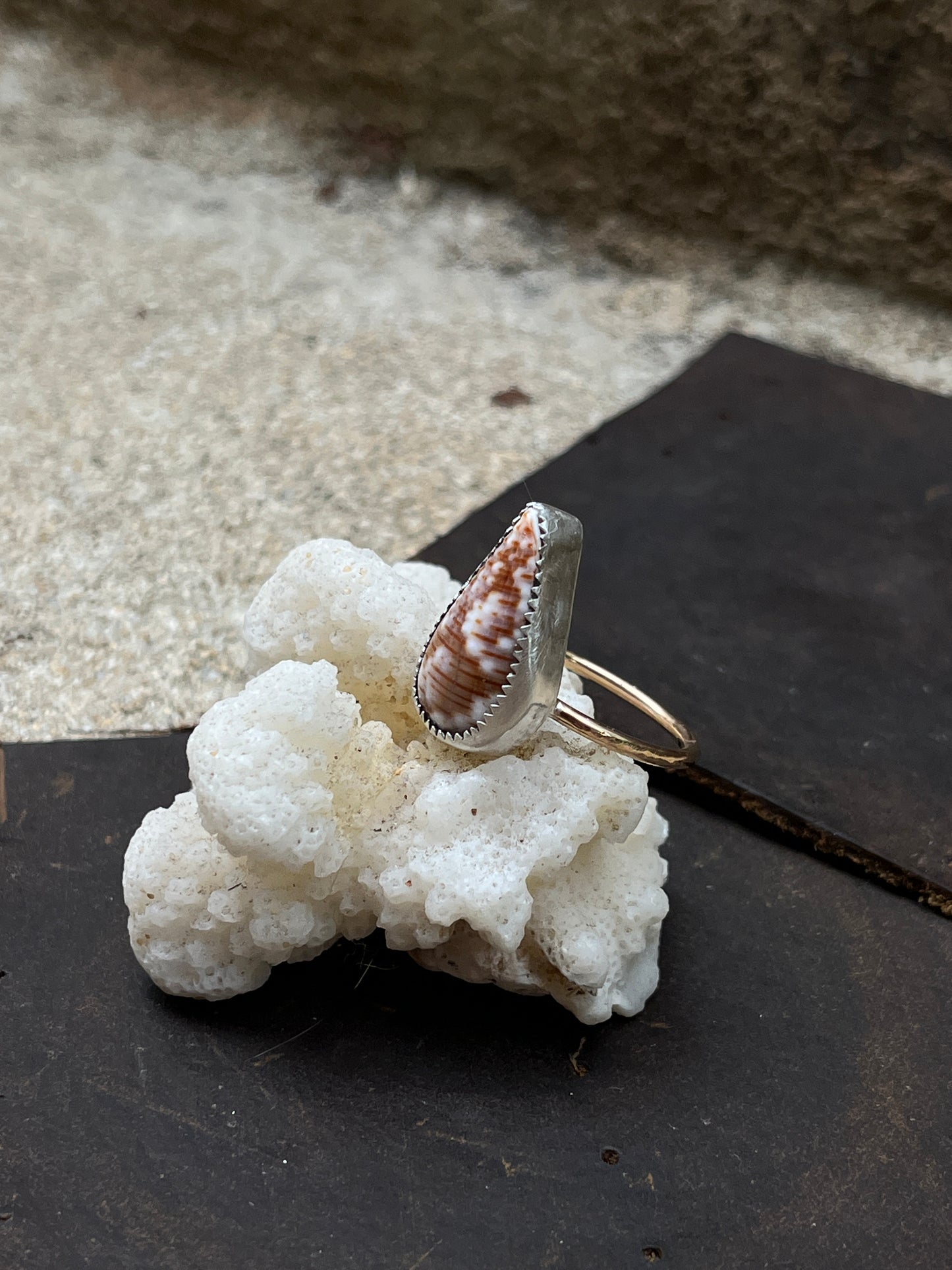 Hawaiian Mixed Metal Shell Ring