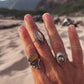 Hawaiian Cowrie Shell Ring RTS